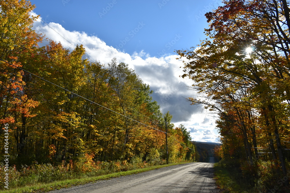 The lake road in the fall, Sainte-Apolline, Québec, Canada