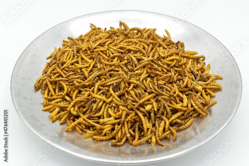 Φωτογραφία Protyn arowana fish food, dried black soilder fry larvae.