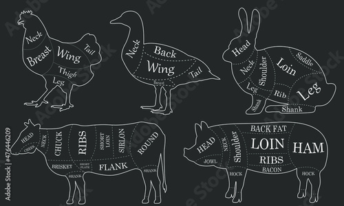 Butcher diagram, scheme set. Cow, pork, chicken, rabbit, goose meat. Cuts of meat set for butchery, meat shop, restaurant. Vector illustration.