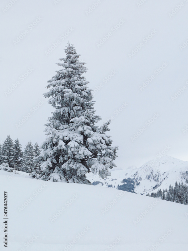 Winter scene in the Swiss Alps.