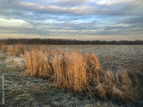 Frozen field. Winter at the Uffelter es Uffelte Drente Netherlands. Sunset.