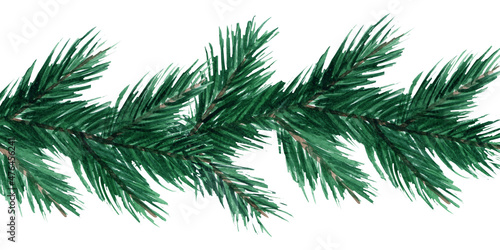 Spruce branches on a white background. Christmas decoration