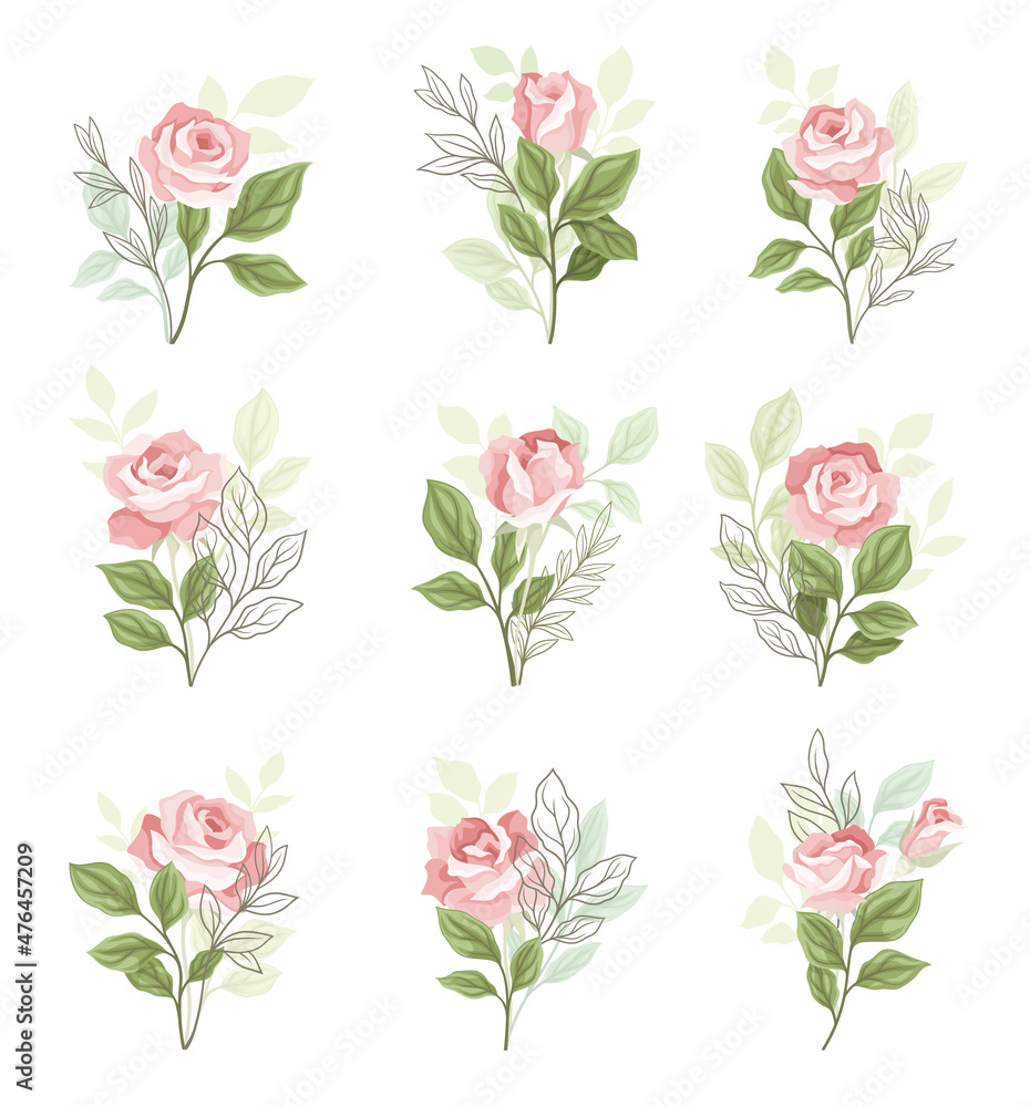 Beautiful Pink Rose Blossom on Stem with Green Leaf as Garden Flora Vector Set