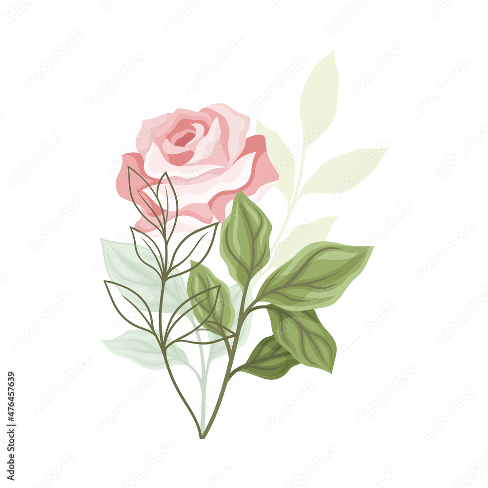 Beautiful Pink Rose Blossom on Stem with Green Leaf as Garden Flora Vector Illustration Beautiful Pink Rose Blossom on Stem with Green Leaf as Garden Flora Vector Illustration