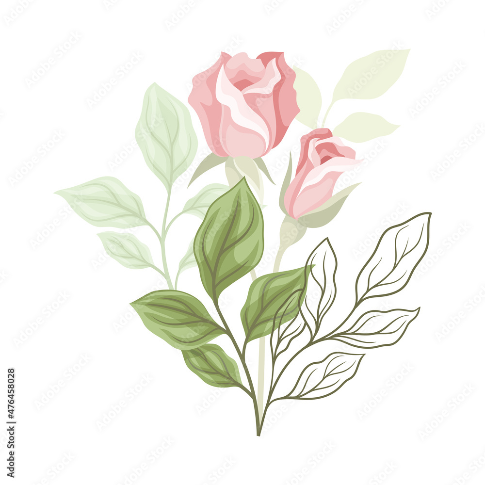 Beautiful Pink Rose Blossom on Stem with Green Leaf as Garden Flora Vector Illustration Beautiful Pink Rose Blossom on Stem with Green Leaf as Garden Flora Vector Illustration