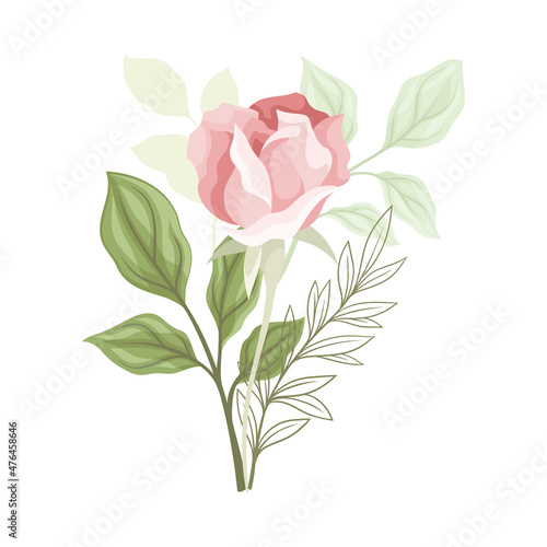 Showy Rose Flower on Leafy Stem as Garden Flora Closeup Vector Illustration