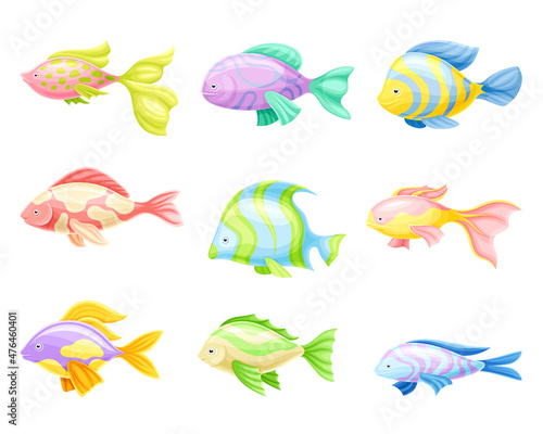 Marine tropical fishes set. Beautiful colorful exotic fish vector illustration