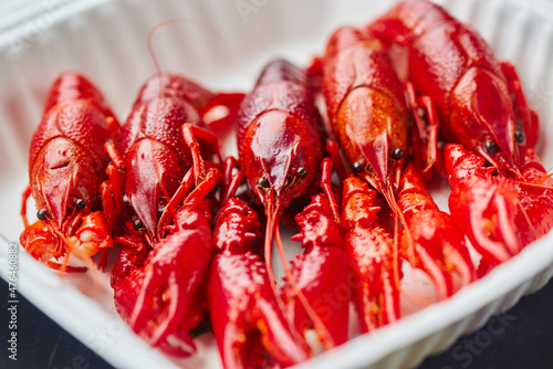 River Cooked Red Crawfish. Boiled crayfish with dill on wooden background