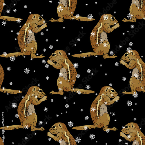 Seamless geometrical animal pattern with hand drawn sketches of wild rodent and snowflakes. Ground squirrel, Prairie dog, Chipmunk, Suslik or Gopher.