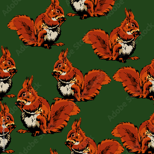 Seamless animal pattern with red squirrels on green background. (Sciurus vulgaris).