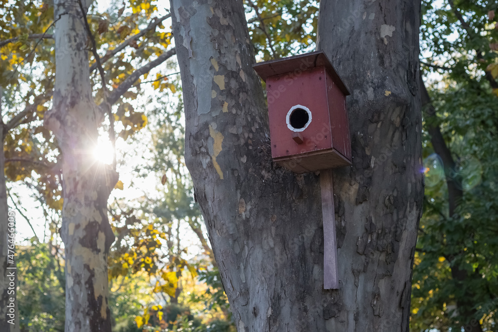 Birdhouse on a tree in the autumn park. Care is in the birds.
