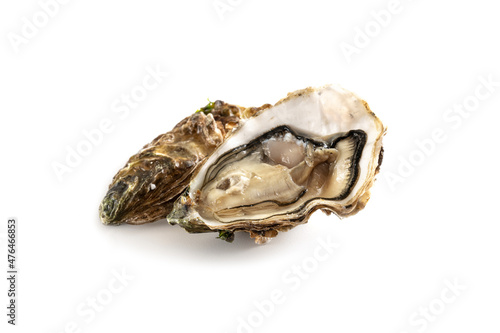 Opened pacific oyster isolated on a white background, fresh opened pacific oyster isolated on a white background, copy space, selected focus