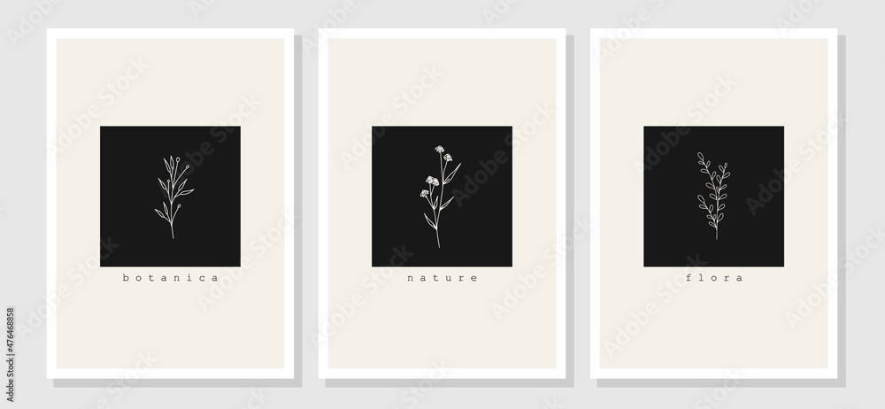 Botanical wall art vector set. Minimal and natural wall art. Foliage line art drawing. Abstract Plant Art design for print, wallpaper, cover. Modern vector illustration. Botanical wall art vector set. Minimal and natural wall art. Foliage line art drawing. Abstract Plant Art design for print, wallpaper, cover. Modern vector illustration.