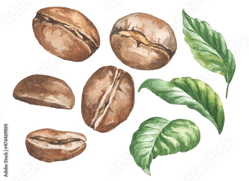 Fotografija Watercolor coffee beans with green leaves isolated on white