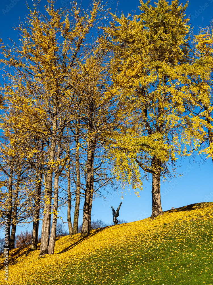 Fototapeta premium Autumnal ginkgo biloba leaves with fruits in a public garden in Munich, Germany