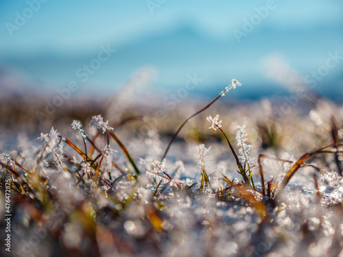 Meadow in winter with snow crystals