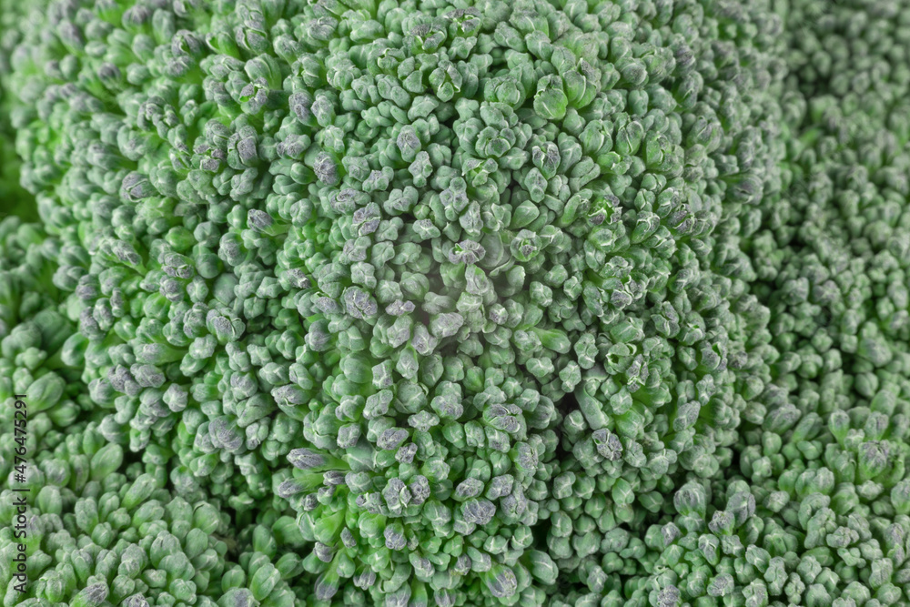 Background image: texture of fresh green broccoli inflorescence close-up Background image: texture of fresh green broccoli inflorescence close-up