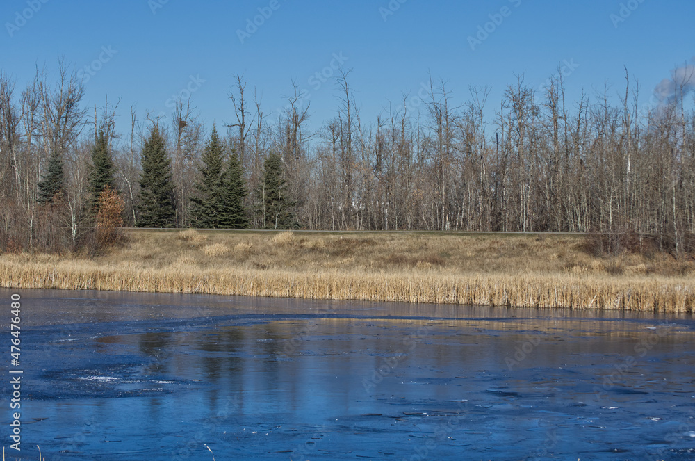 Pylypow Wetlands on a Late Autumn Day