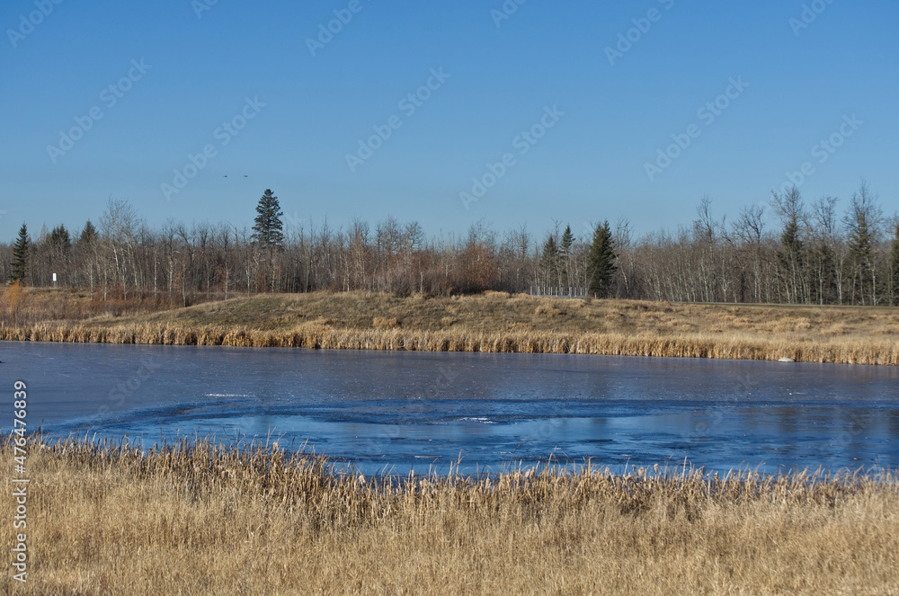 Pylypow Wetlands on a Late Autumn Day