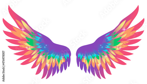 Beautiful bright multicolor rainbow wings, vector illustration