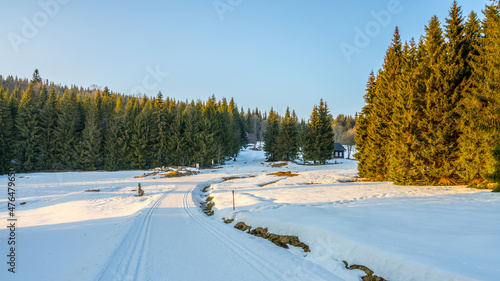 Cross-country skiing in Jizera Mountains photo