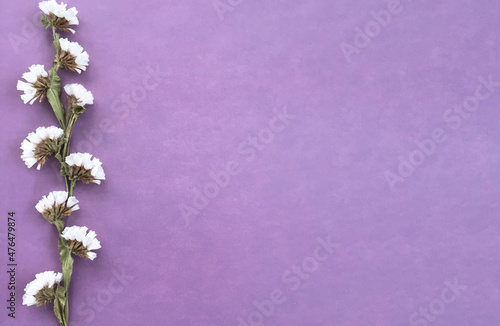 Vertical stripe of white flowers on the right edge on a purple background