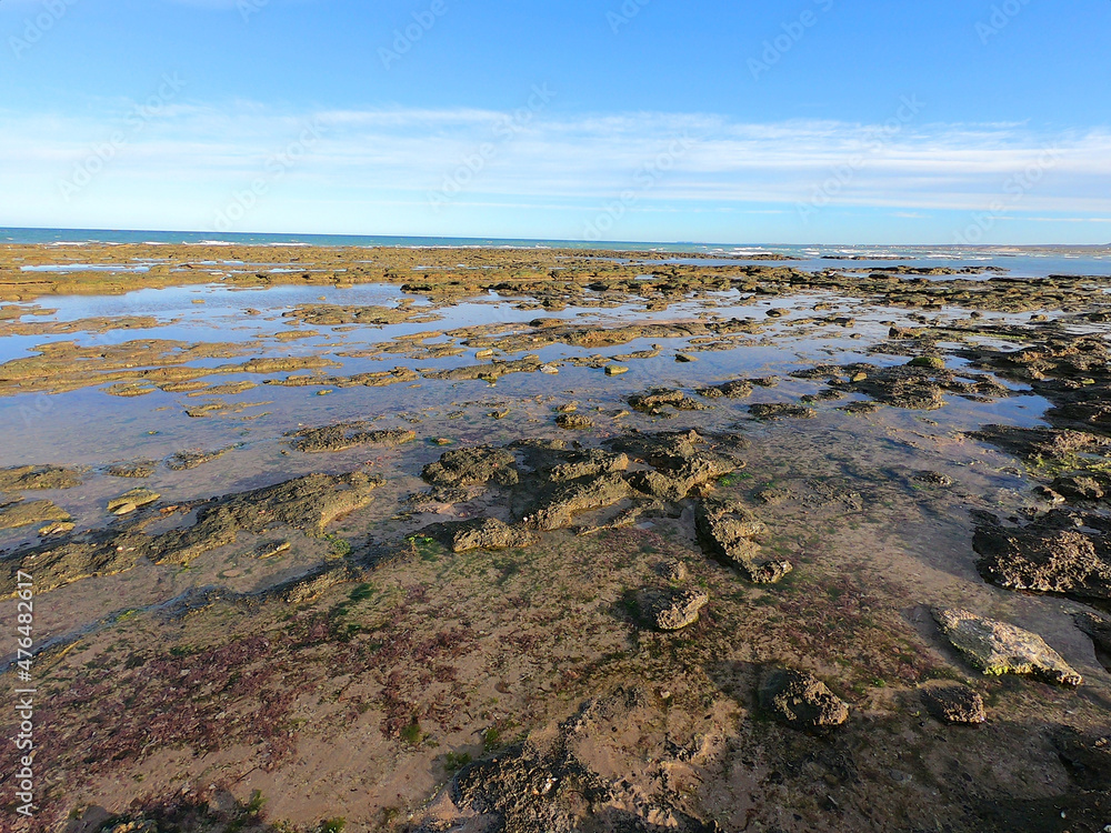 Sunny stone coast after low tide near the Argentine town of Las Grutas