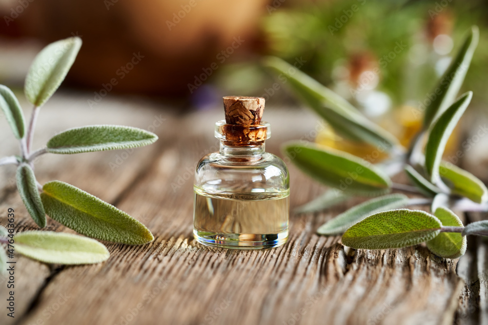 A bottle of essential oil with fresh sage plant - alternative medicine A bottle of essential oil with fresh sage plant - alternative medicine