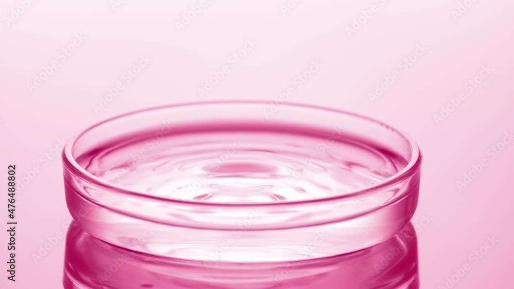 Drop of water falls down into petri dish with clear fluid creating ripples on its surface on pale pink background | Abstract skin moisturizing cosmetics formulating concept Drop of water falls down into petri dish with clear fluid creating ripples on its surface on pale pink background | Abstract skin moisturizing cosmetics formulating concept