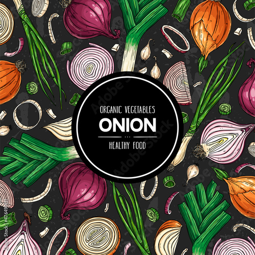 Hand drawn banner with onion. Organic legumes plant drawing with onion