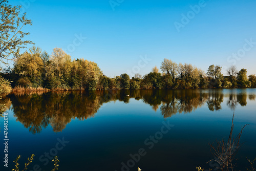 Autumn trees reflected in water