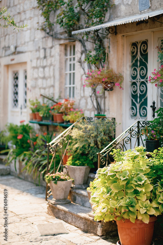Threshold of an old stone house with flowers in pots