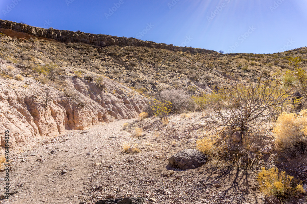 desert landscape in state desert landscape in state