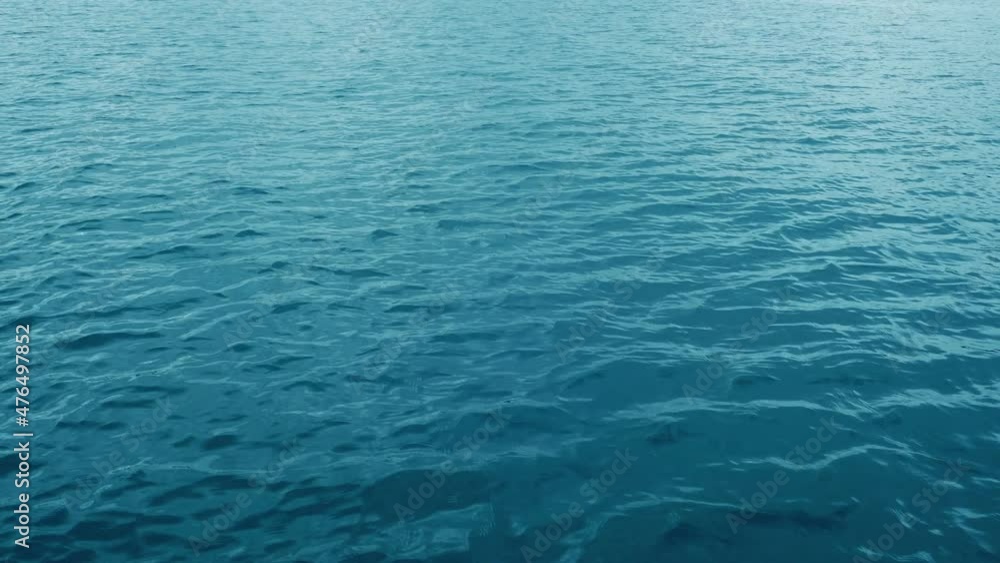 Gliding Over The Sea Surface Gliding Over The Sea Surface