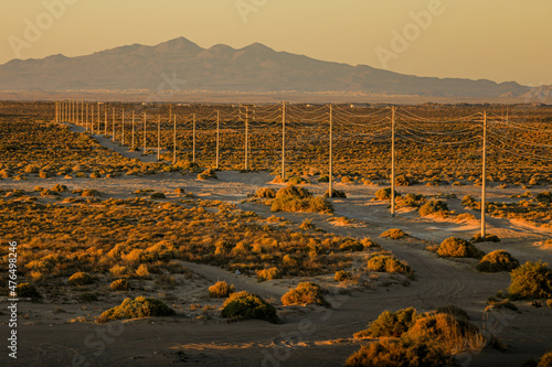 Electric power poles and cables, high voltage, row towards the horizon among the landscape of the Sonoran desert in the Puerto Peñasco valley. thorn bush and sand on a dirt road at sunset, CFE, Gulf  photo