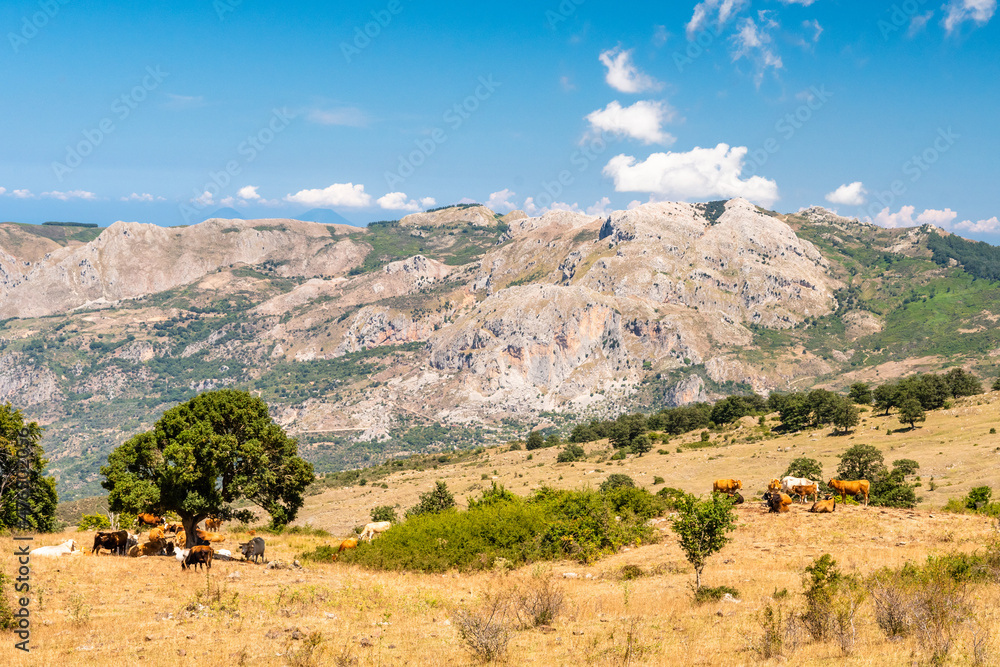 View of Rocche del Crasto near Alcara Li Fusi town in the Nebrodi Park, Sicily