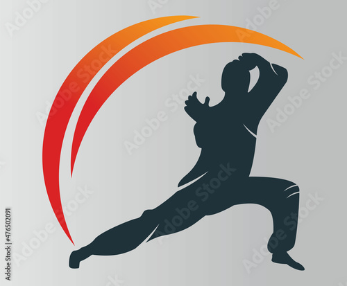 Karate sports logo. martial art silhouette vector, fight sport logo design.