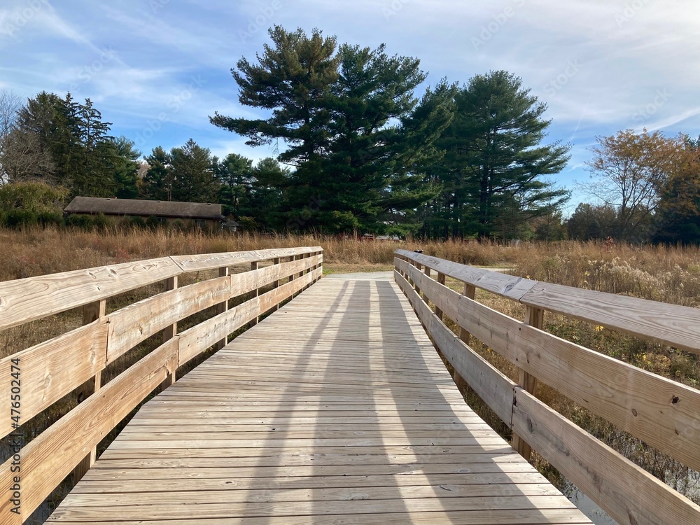 wooden bridge in the park