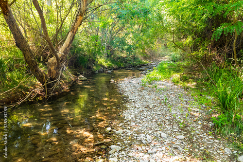 Canyon and river forming the so called Stretta di Longi  Galati Mamertino