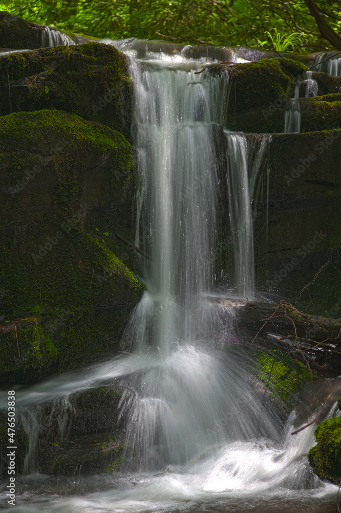 Rhododendron Creek