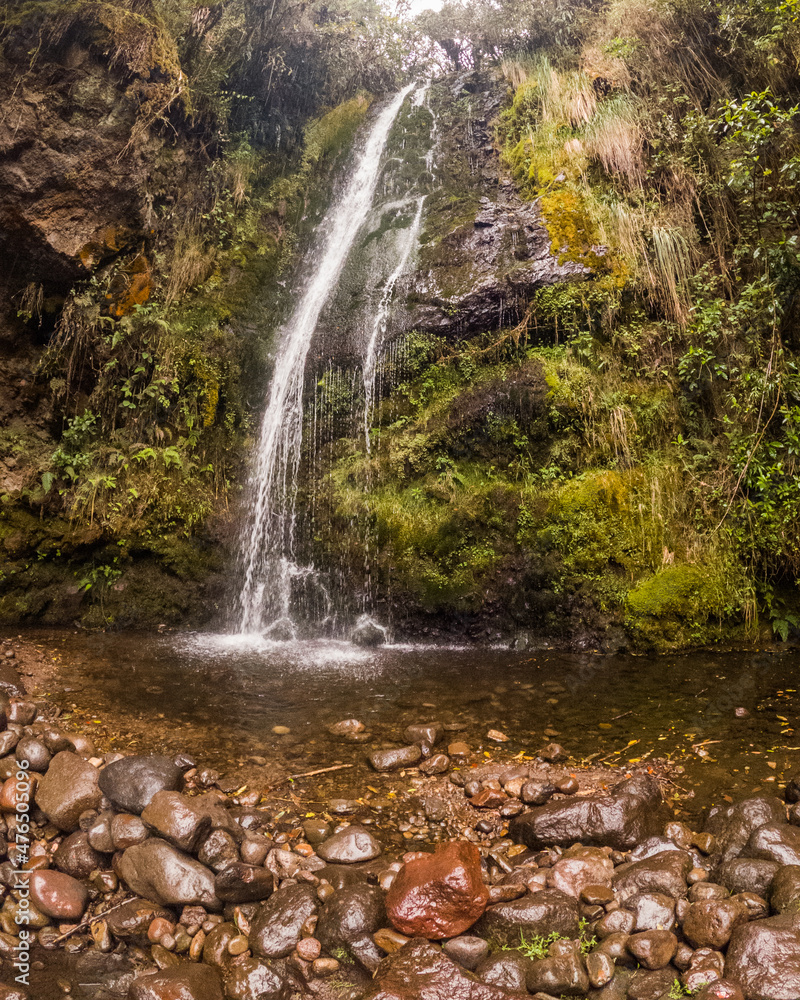 Obraz premium cuchichea