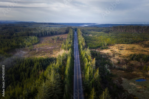 Highway 101 in Oregon, aerial view of logging clearcut area. 