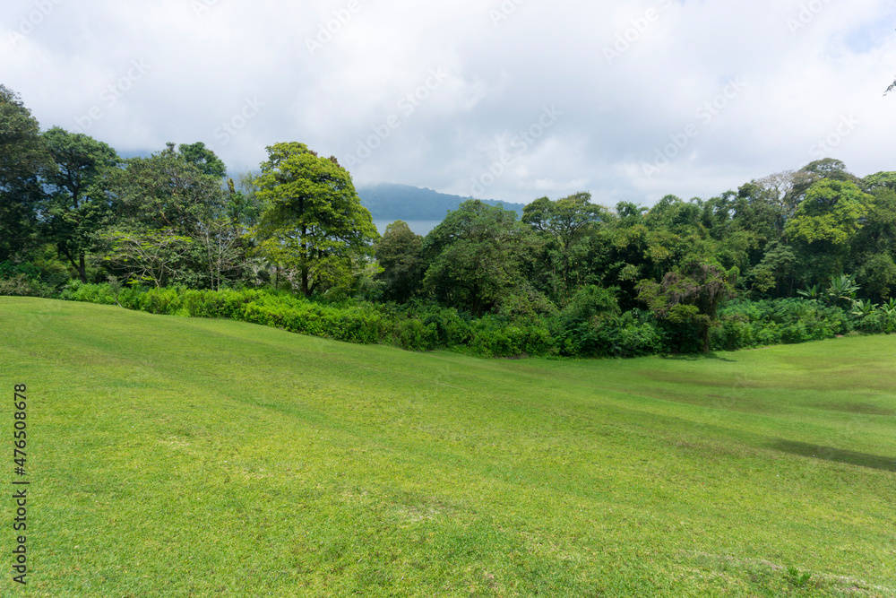 Bedugul Botanical Gardens, Bali, Indonesia (17 December 2021): Natural green grass stretches across the trees. A gathering place for family vacations in Bali.