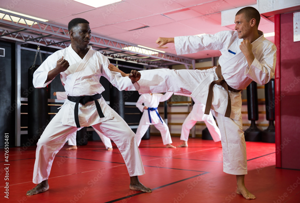 Two man working in pair, mastering new karate moves in class