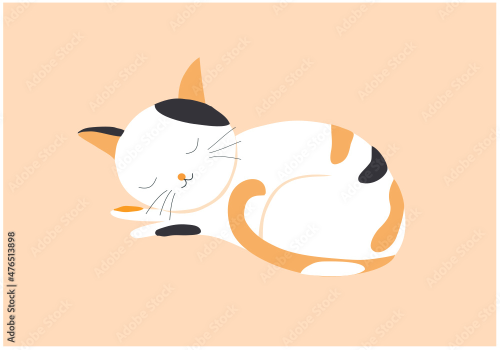 Fototapeta premium Cut cat sleeping