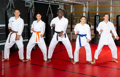 Team of athletes in kimono at karate class in a gym