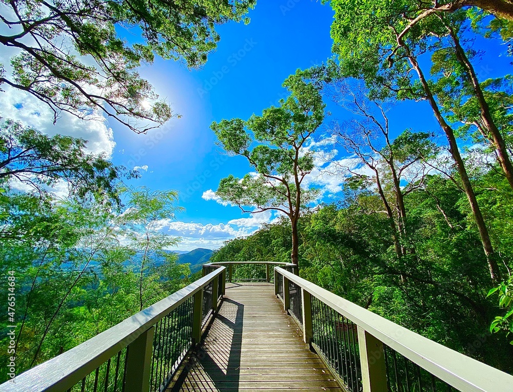 Fototapeta premium wooden bridge in the forest