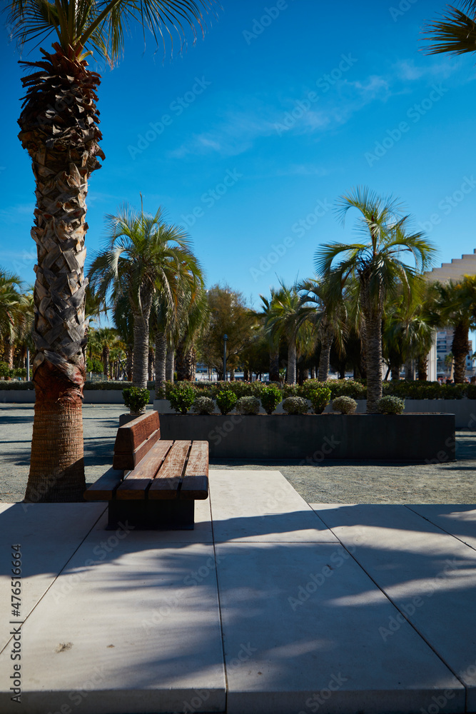 Wooden bench in front of a palm tree on the coast of Malaga in Spain