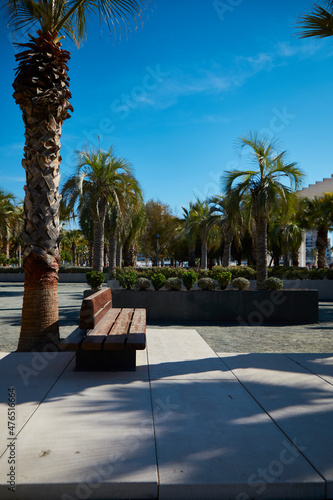 Wooden bench in front of a palm tree on the coast of Malaga in Spain © Rocio