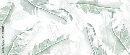 Fotografie, Obraz Green tropical leaves watercolor background vector.